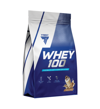 WHEY 100 700гр.